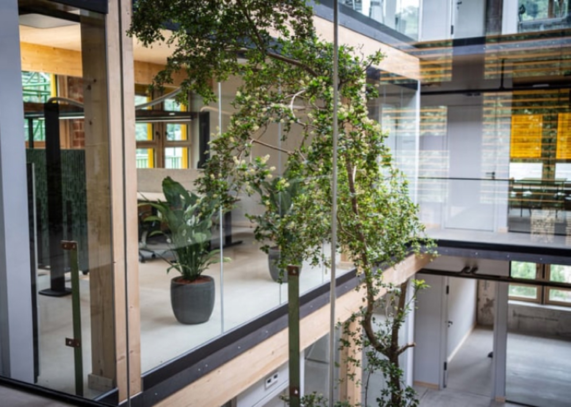 Loft-Büro Rottweil